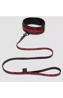 Стильный ошейник с поводком Reversible Faux Leather Collar and Lead