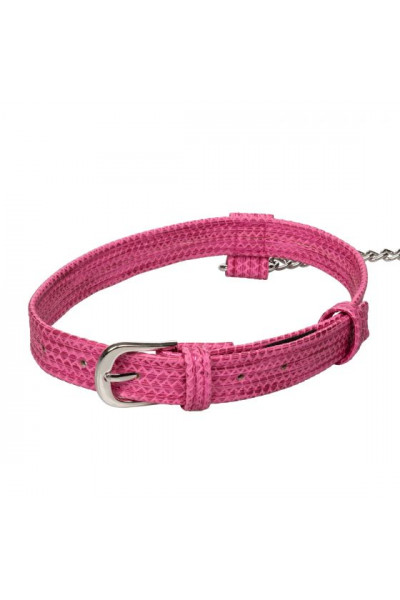 Розовый ошейник с поводком Tickle Me Pink Collar With Leash